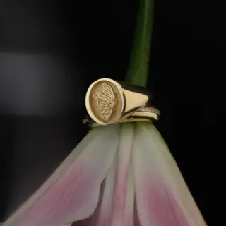 Lifestyle image of the Juliette Butterfly Signet Ring by Kinn Studio worn on the hand, emphasizing its minimalist design and symbolic engraving.